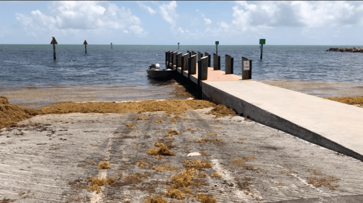 Screen Shot 2019-04-19 at 1.05.07 PM.png